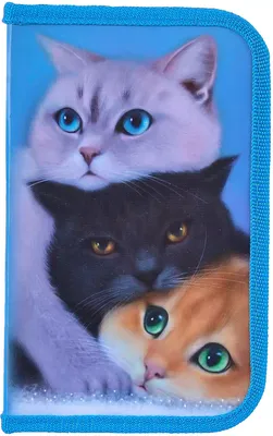 Купить Пазлы Castorland: «Три Котенка» 300 Эл (B-030330)