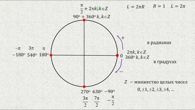 Тригонометрический круг. Значения тангенса и котангенса на круге |  Подготовка к ЕГЭ по математике