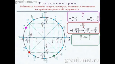 Тригономическая окружность и функции числового аргумента - свойства,  значения — Федеральный центр онлайн-обучения «Академия»