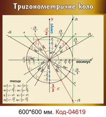 Тригонометрия за 5 минут! Тригонометрические функции и тригонометрический  круг простыми словами | Клуб любителей математики - Matematika.Club