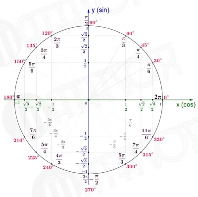 круг тригонометрический иллюстрация вектора. иллюстрации насчитывающей  конструкция - 19578606