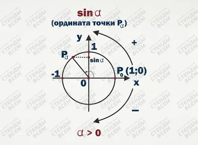 Тригонометрическая окружность | PDF