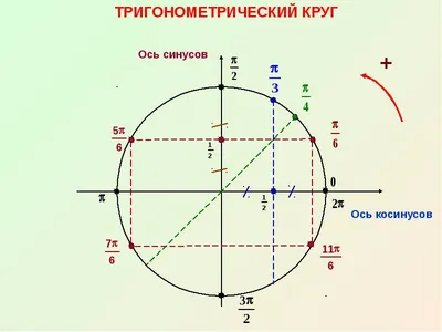 Тригонометрический круг - YouTube
