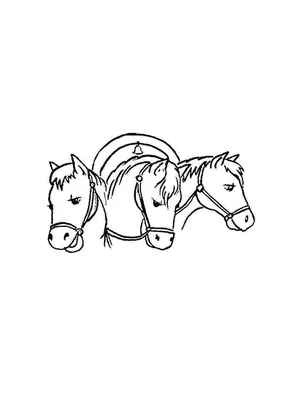 Эх три белых коня...\" Что нужно знать о русской тройке. | STENA.ee