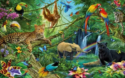 Тропические животные картинки фотографии
