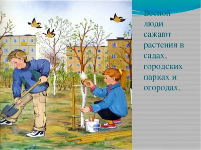 Картинки труд людей в огороде весной (67 фото) » Картинки и статусы про  окружающий мир вокруг