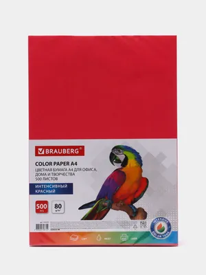 Цветная печать на офисной бумаге формат А4 (21*29,7 см), плотностью 80 гр.  купить со скидкой в интернет-магазине СувенирПрофф - Красноярск