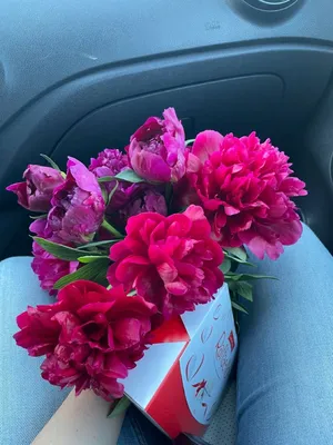 Алла, Цветы и подарки в Казани, купить по цене 2800 RUB, Цветы в коробке в  Теплица роз с доставкой | Flowwow