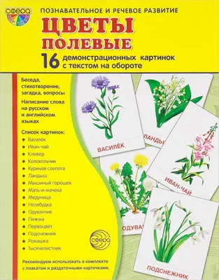 Буква A Акварельных Цветов, Изолированные Рисованной На Белом Фоне,  Свадебный Дизайн, Английский Алфавит Фотография, картинки, изображения и  сток-фотография без роялти. Image 102489151