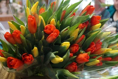Букет 8 марта» с гипсофилами и тюльпанами - купить в Новом Уренгое за 4 630  руб