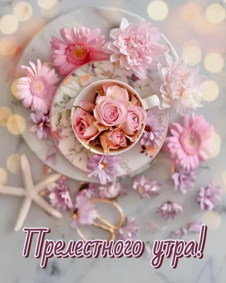Создать мем \"доброе утро красивые цветы, красивые цветы, с добрым утром  красивые цветы\" - Картинки - Meme-arsenal.com