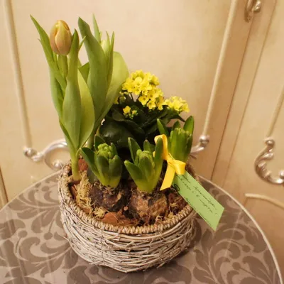 Цветы в корзине на 8 марта №36 — купить с доставкой в Москве