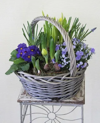 Цветы и букеты к 8 Марта: «Леруа Мерлен» обновил центральную витрину  магазина - MySlo.ru