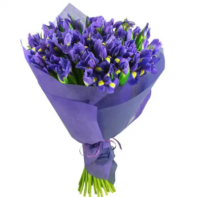 За Калужской заставой - Фиалки или «Женское счастье»? Какие цветы в горшках  выбирают в качестве подарка в Черемушках