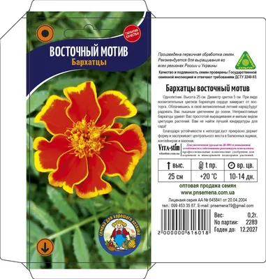 Семена цветов Вербена гибридная Поиск Идеал 0,2 г — цена в Оренбурге,  купить в интернет-магазине, характеристики и отзывы, фото