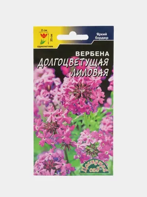 Вербена Балконная (семена,цветы) купить по цене 49 ₽ в интернет-магазине  KazanExpress