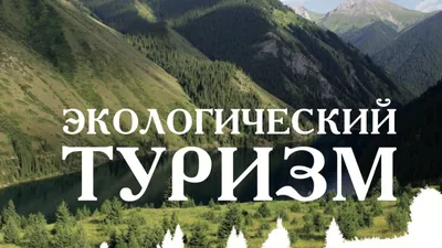 В Казахстане открывается онлайн академия внутреннего туризма