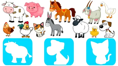 Learn Animal Educational Cartoon for Kids Puzzles Game - YouTube