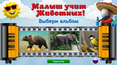 Сборник! Развивающие мультики про животных для детей - YouTube