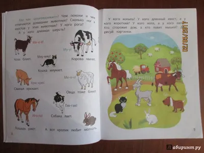ЮВЕНТА - Досочки Сегена «Учим животных»