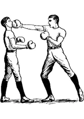 Black And White Athlete Boxer In Jump In Blue Gloves Isolated On White  Background. Sport Concept Фотография, картинки, изображения и  сток-фотография без роялти. Image 181349333