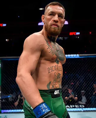 Download wallpaper UFC, Conor McGregor, Khabib Nurmagomedov, Khabib  Nurmagomedov, Conor McGregor, section sports in resolution 1600x1200