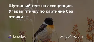 Пятничная загадка. Угадай песню по картинке