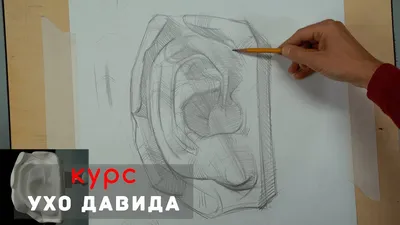 Уникальная операция — в КР впервые изготовили искусственное ухо. Фото -  21.09.2021, Sputnik Кыргызстан