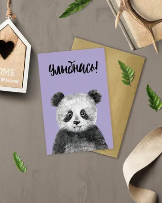 Улыбнись! - панда - открытка - купить в интернет-магазине - 23 февраля