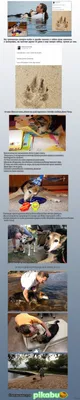 Умерла самая старая собака в мире - АЗЕРТАДЖ