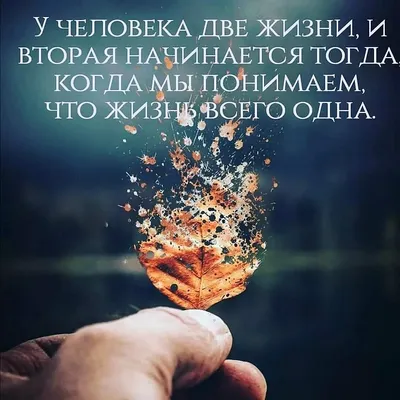 Цитаты умных людей . • ° #цитаты #Вольтер #мудрость #жизнь | Instagram