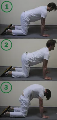 Упражнения для укрепления мышц спины | Блог о здоровье