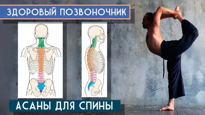 Упражнения при шейном остеохондрозе - лечение в Киеве, Кипарис