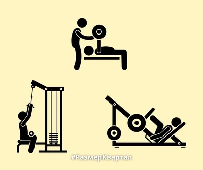 Программа тренировок в тренажёрном зале для мужчин – Онлайн-журнал Льва  Гончарова о ЗОЖ и вредных привычках.
