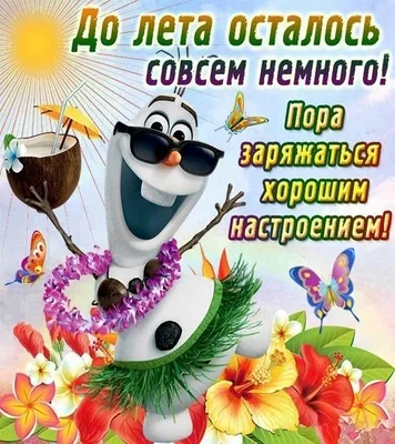 Подпишитесь, чтобы не забыть когда лето закончится (Каждый день  выкладывается напоминание, что завтра лето) | ВКонтакте