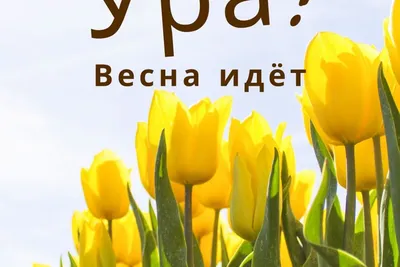 Ура! Перезимовали! Лучшая подборка весенних открыток! | Открытки,  поздравления и рецепты | Дзен