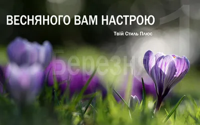 Первый вздох весны (Вячеслав Краснов) / Стихи.ру
