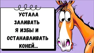 Все будет хорошо, потому что плохо уже надоело...))) | Богиня с юмором |  ВКонтакте