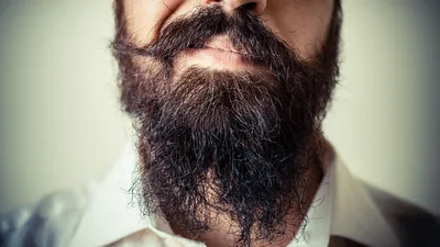 Что говорят о вас усы?| Как легко узнать особенности внутреннего мира  мужчины по усам