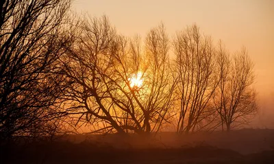 Туманное Утро Восход Солнца Солнце - Бесплатное фото на Pixabay - Pixabay