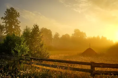 Утро,восход солнца, лес, большая …» — создано в Шедевруме