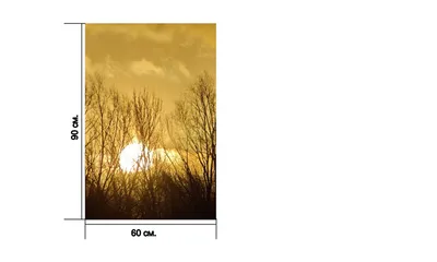 Обои утро, природа, облако, восход солнца, рассвет на телефон Android,  1080x1920 картинки и фото бесплатно