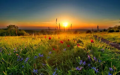 Картина маслом восход солнца \"Утро\" – заказать на Ярмарке Мастеров –  SH61GRU | Картины, Севастополь