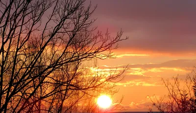 картинки : Восход, солнце, Куст, озеро, день, небо, закат солнца, горизонт,  море, Спокойствие, атмосфера, утро, Послесвечение, воды, вечер, Солнечный  лучик, смеркаться, рассвет, дерево, astronomical object, филиал 3237x2420 -  Edgar Galavis - 1446185 ...