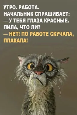 Футболка \"Скорей бы утро и снова на работу!\"