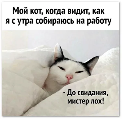 И утром опять на работу 🤣 | Instagram