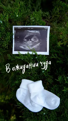 В ожидании чуда. Фотосессия беременности | Фотографии маленького мальчика,  Фотографии беременной, Фотосессии беременных