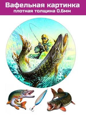Вафельная картинка для торта Рыбалка, Охота, Баня - купить с доставкой по  выгодным ценам в интернет-магазине OZON (1316028761)
