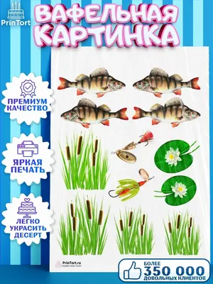 ⋗ Вафельная картинка Рыбалка 8 купить в Украине ➛ CakeShop.com.ua