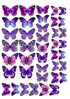 Картинка для торта Бабочки малиновые фиолетовые pr0080 на сахарной бумаге